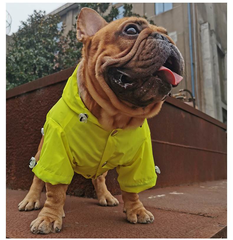 Pet Raincoat Grey