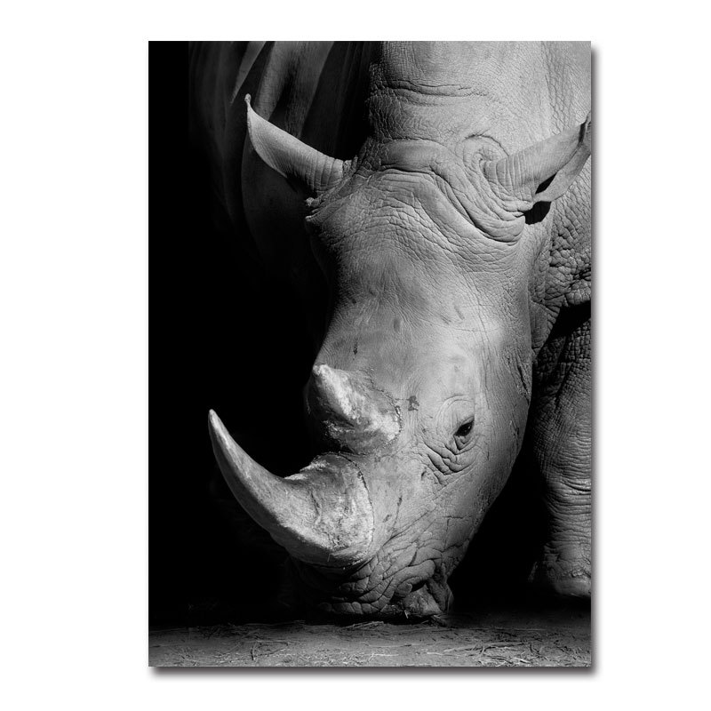 Black and White Animal Decor 4