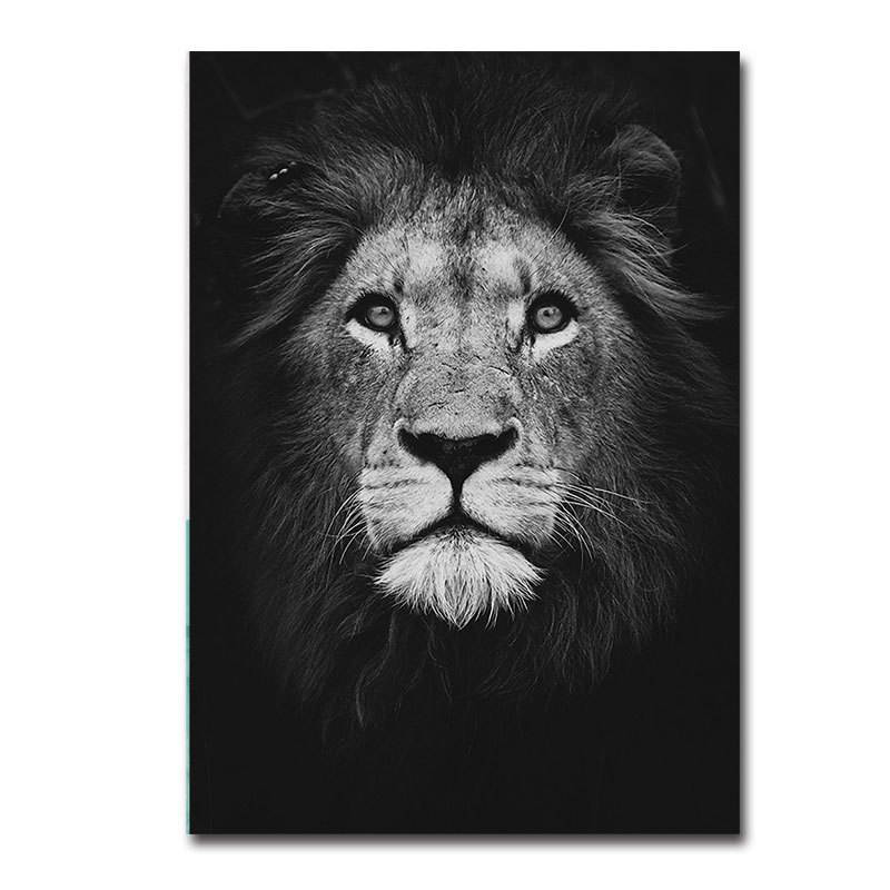 Black and White Animal Decor 3