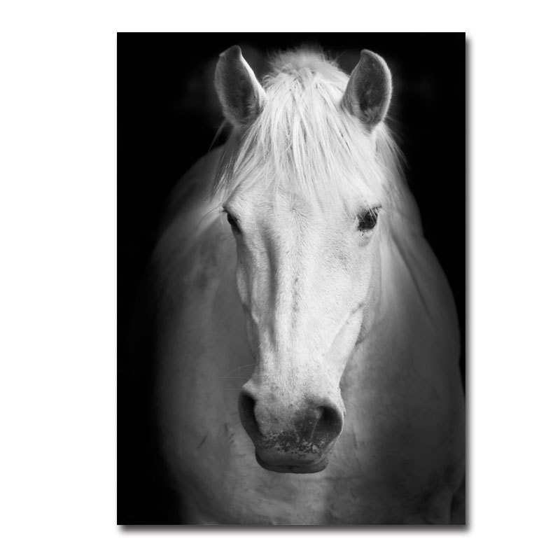 Black and White Animal Decor 6