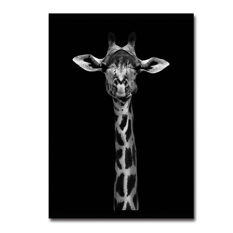 Black and White Animal Decor 7