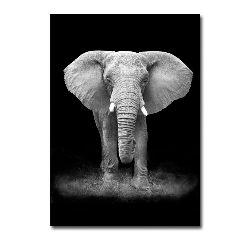 Black and White Animal Decor 2