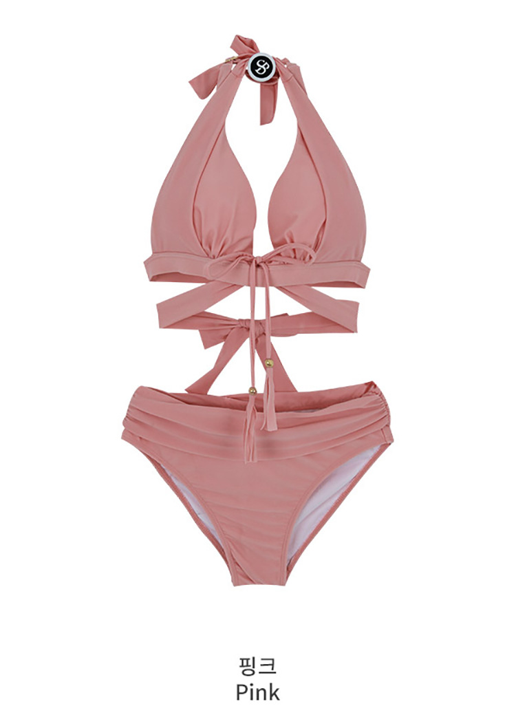 Swimsuit Image 5