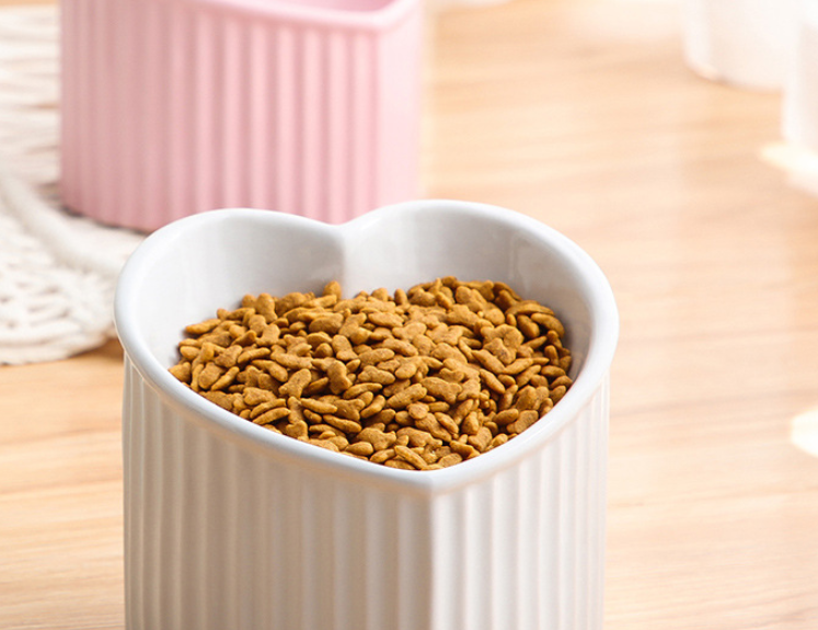 Ceramic Pet Bowl 2