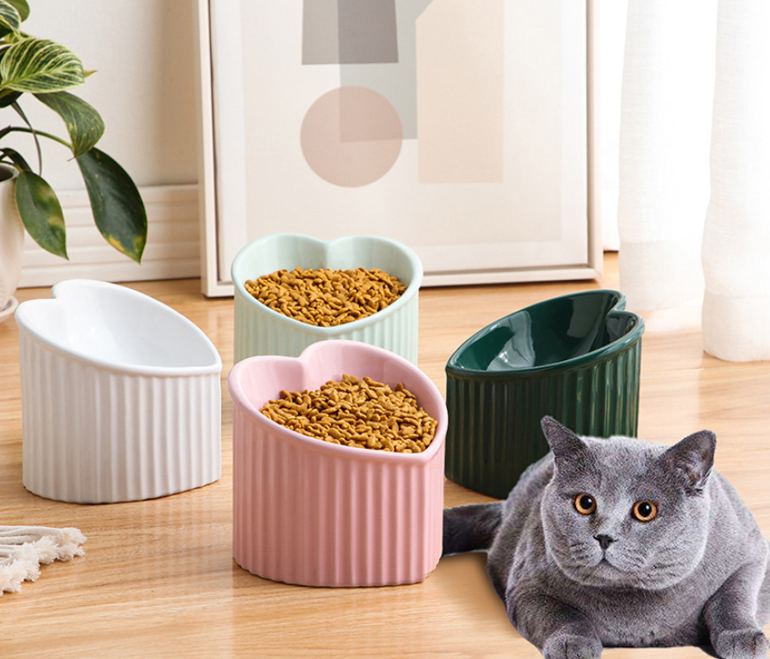 Ceramic Pet Bowl 5