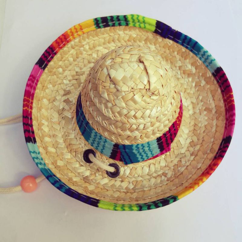 Pet Hat Image 3