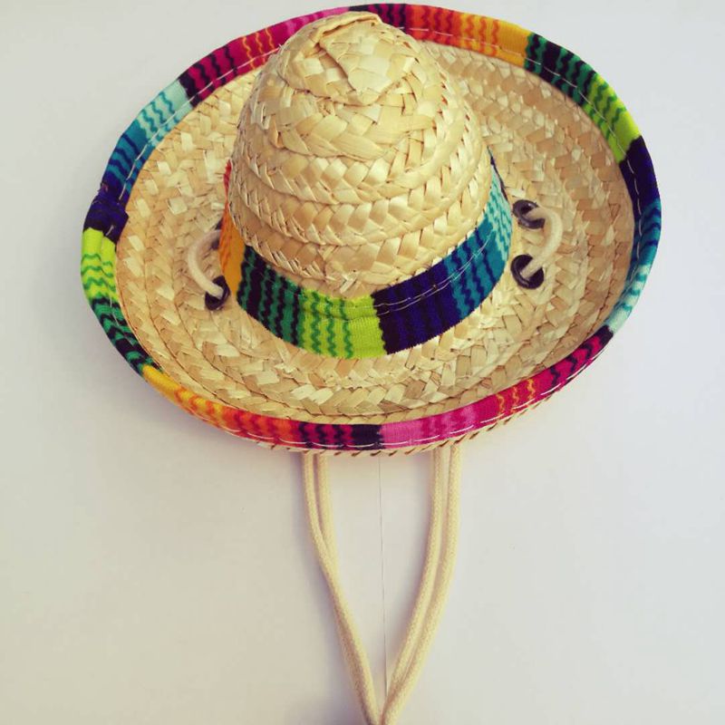 Pet Hat Image 2