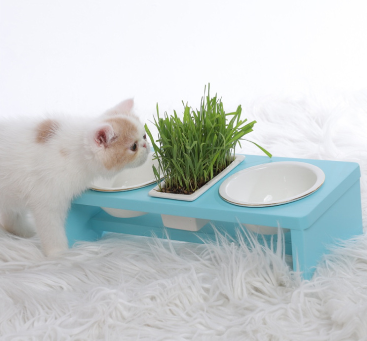 Elevated Cat Bowl Stand