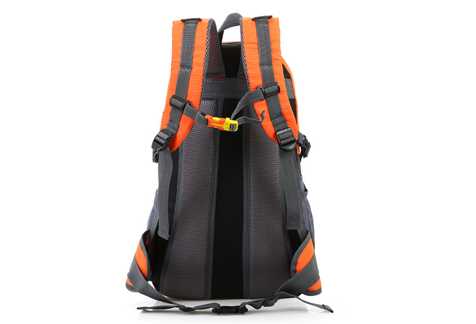 Backpack Details