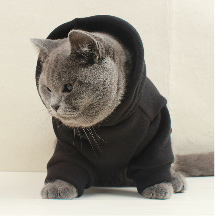 Customizable Pet Clothes