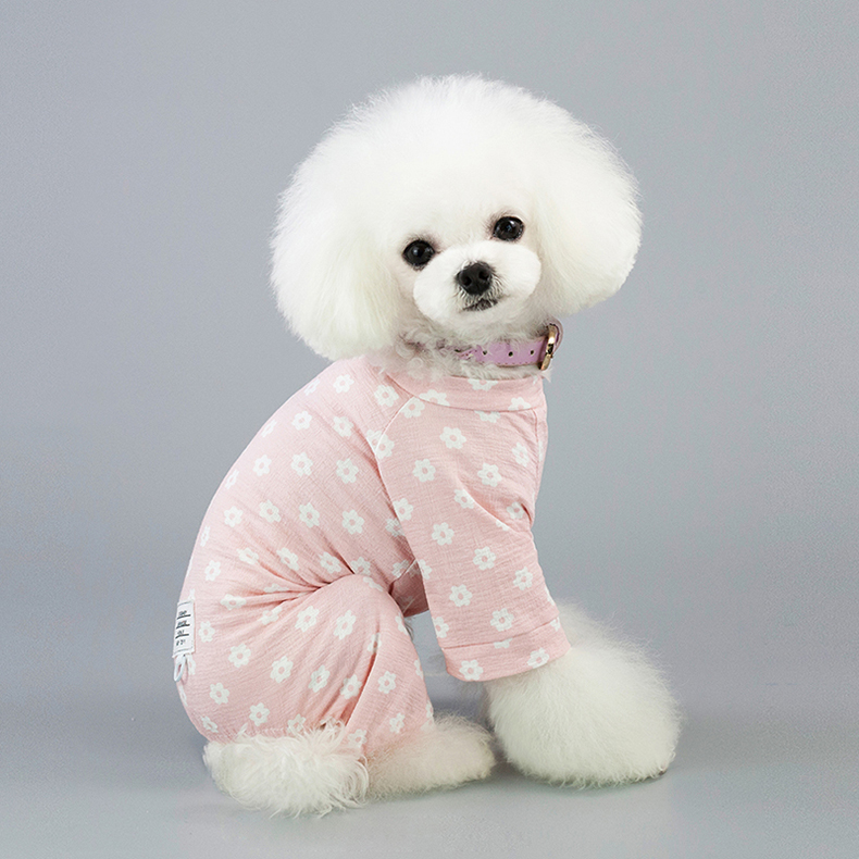 Cat in Cozy Pajamas