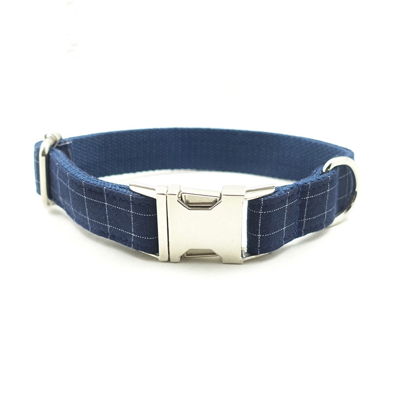 Dog Collar in Use