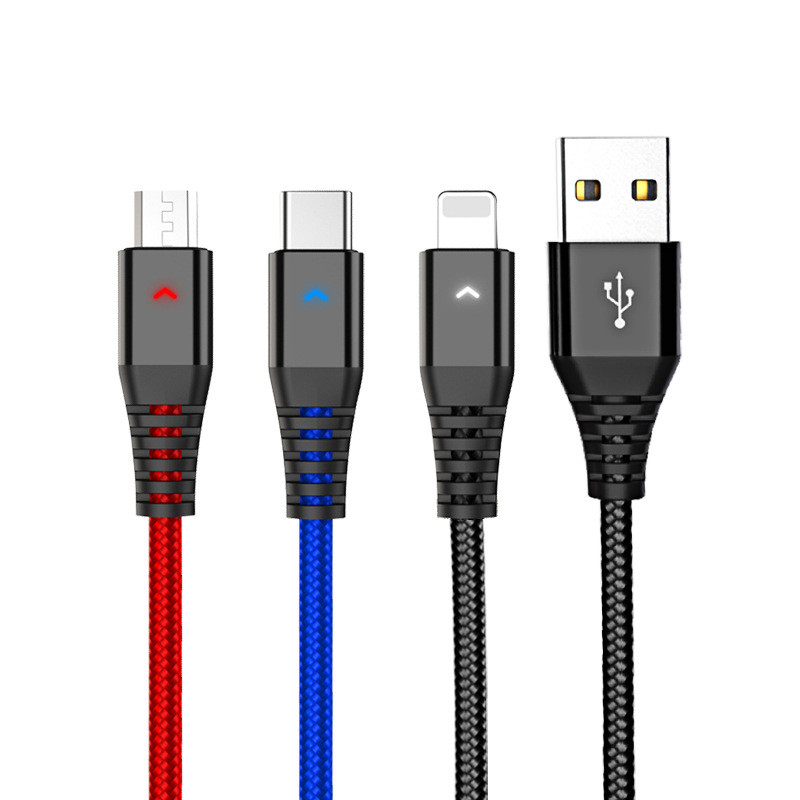 Multiple Charging Options