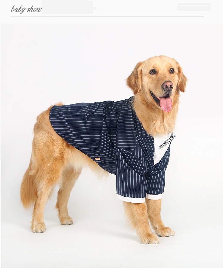 Striped Bow Tie Dog Outfit Image 4