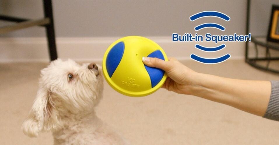 Happy Dog with Toy Ball