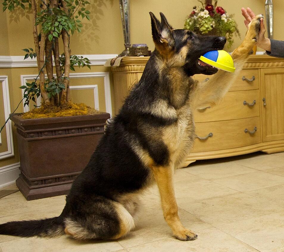 Durable Pet Toy Ball