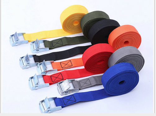 Zinc Alloy Buckle Strap in Action