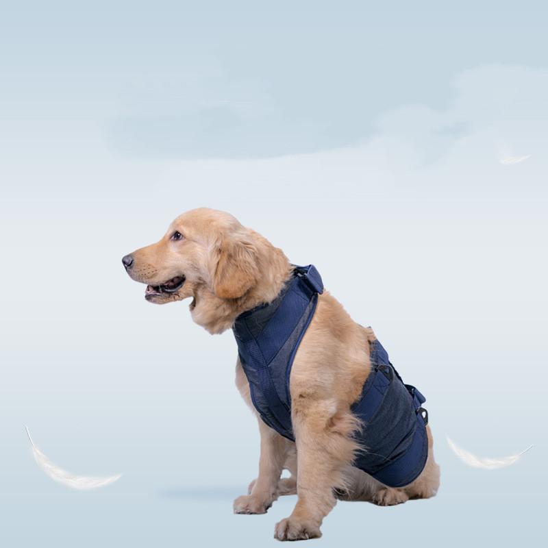Dog Harness Image 3