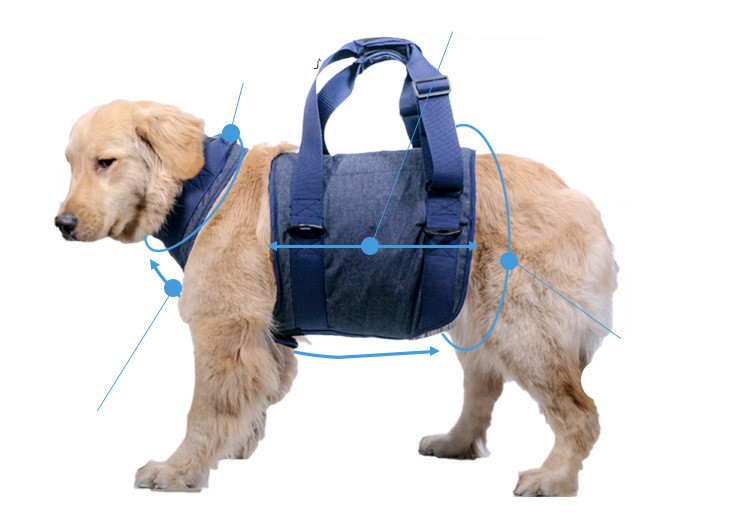 Dog Harness Image 4