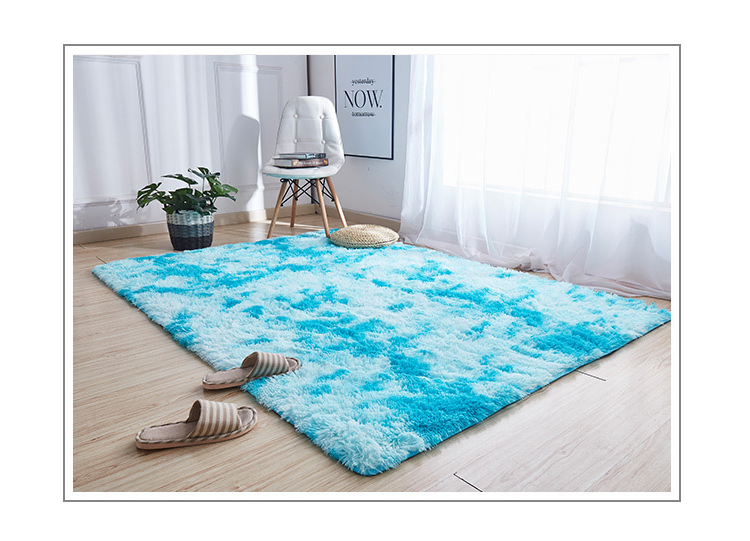 Carpet in Living Room