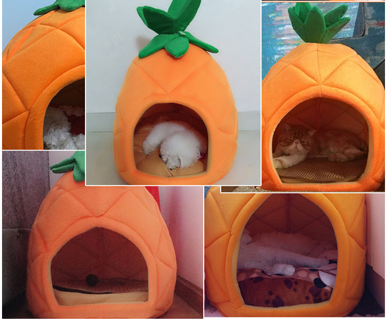 Pineapple Pet Bed Showcase