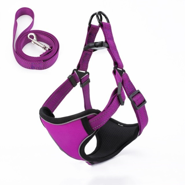 Dog Leash Image 6
