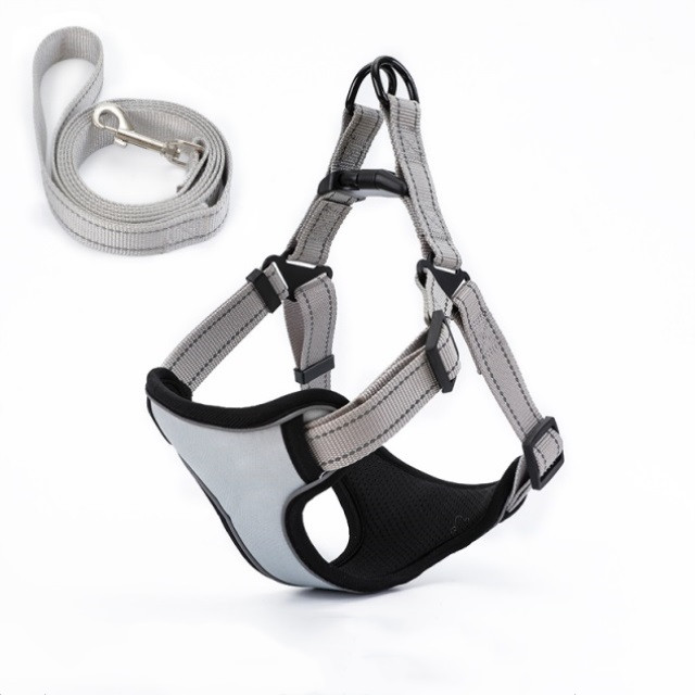 Dog Leash Image 2