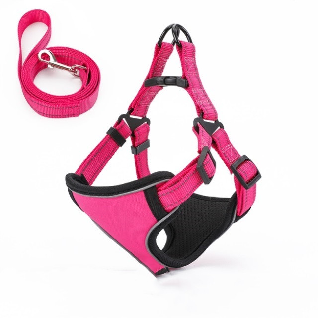 Dog Leash Image 7