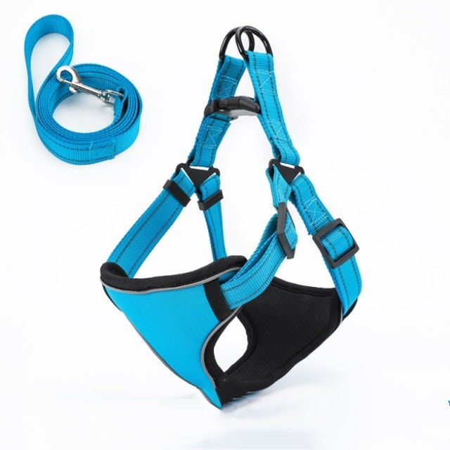Dog Leash Image 10