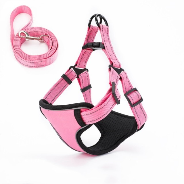 Dog Leash Image 5
