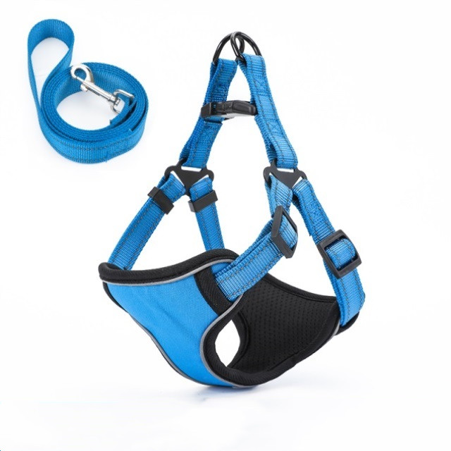 Dog Leash Image 8