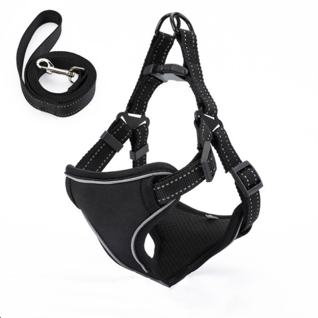 Dog Leash Image 4
