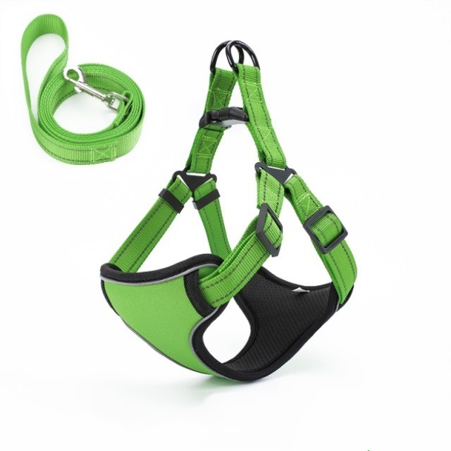 Dog Leash Image 9