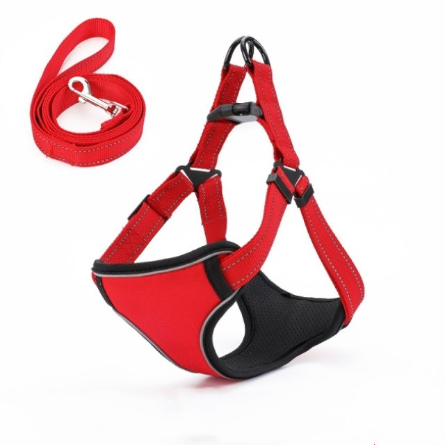 Dog Leash Image 3