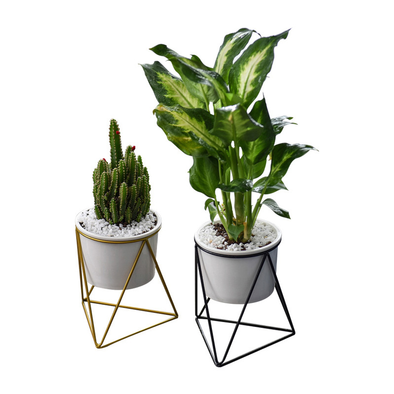 Stylish Addition