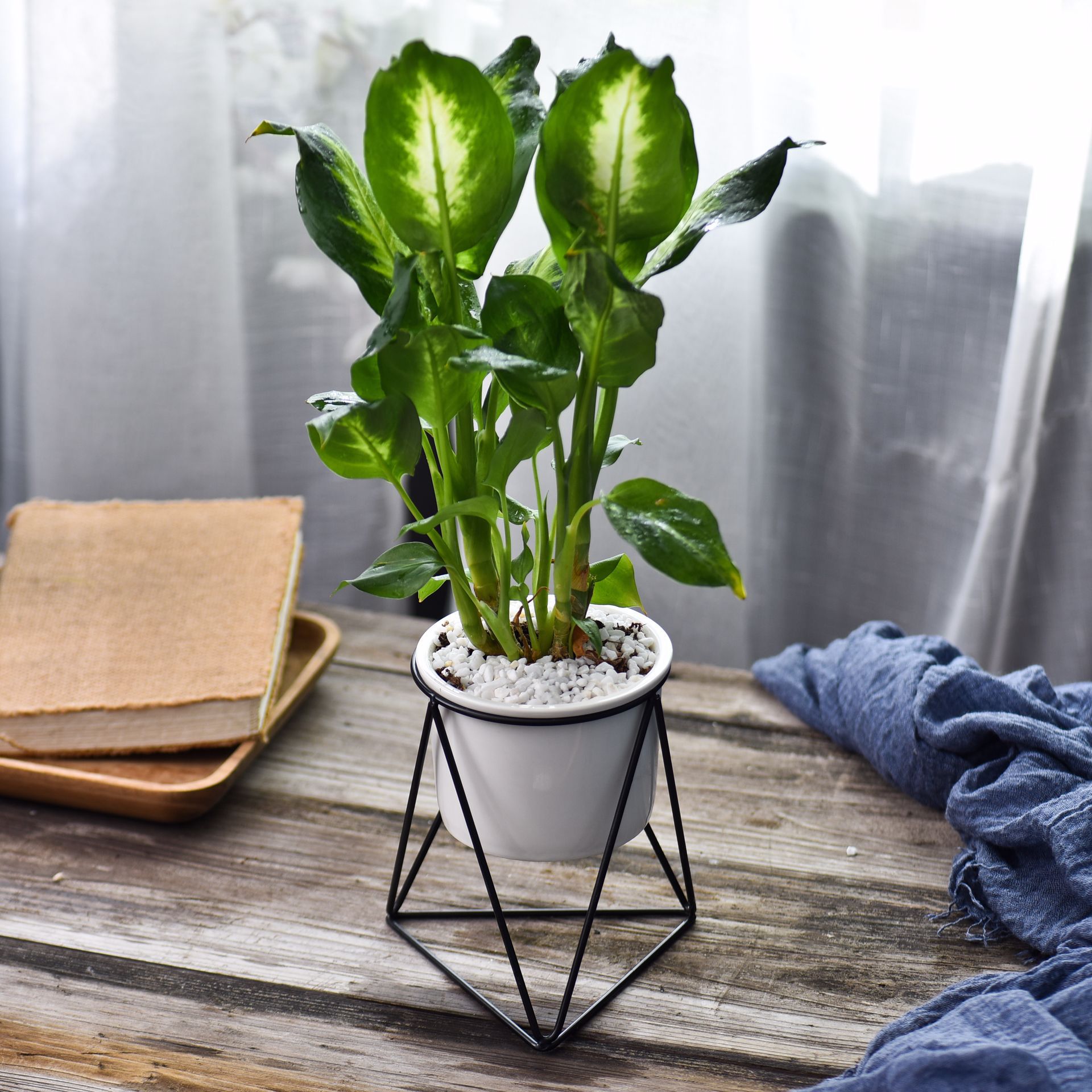 Planter in Use
