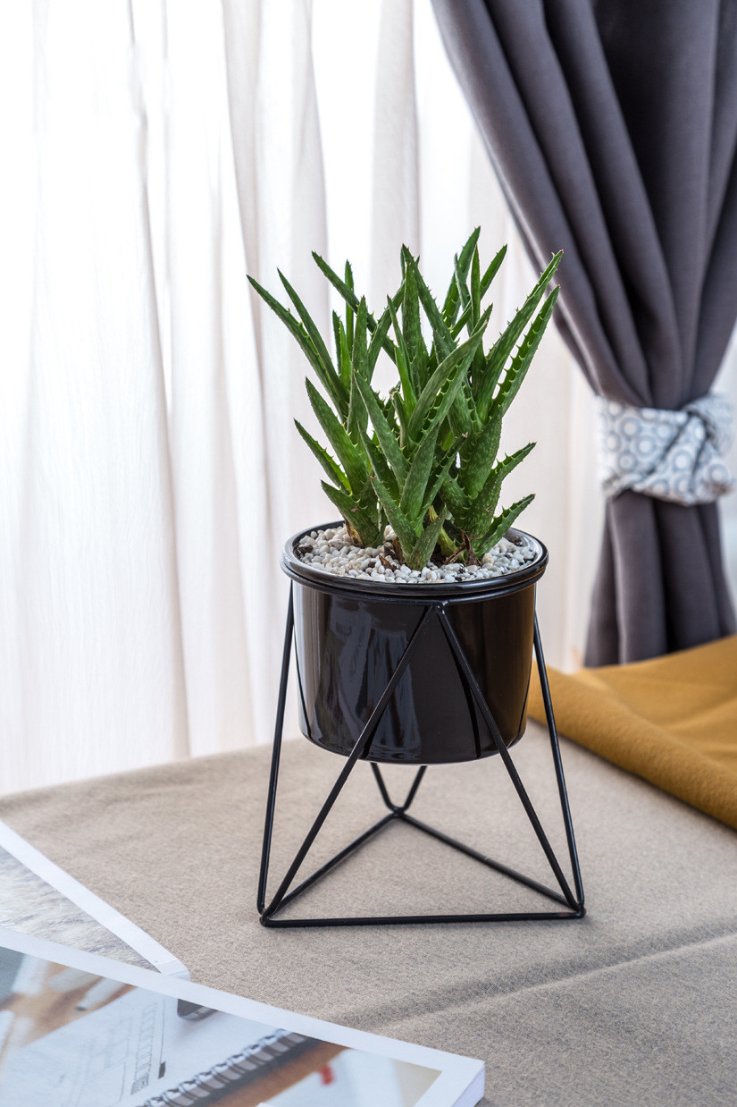 Elegant Design
