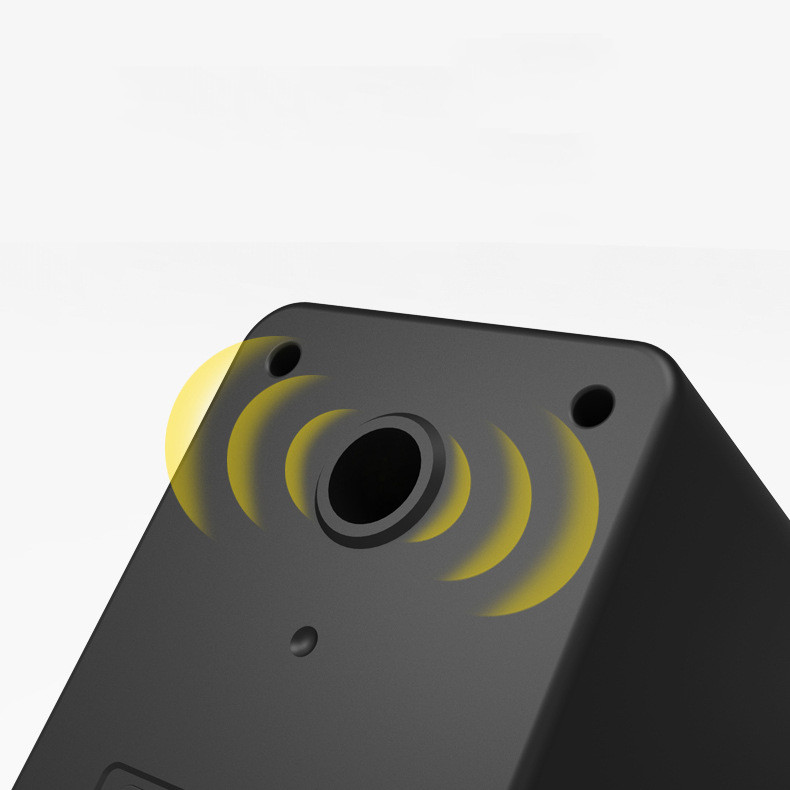 Speaker in Black
