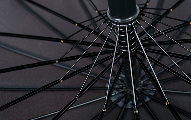 Business Umbrella Design