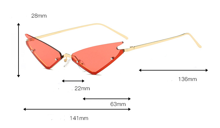 Cat Eye Sunglasses 3