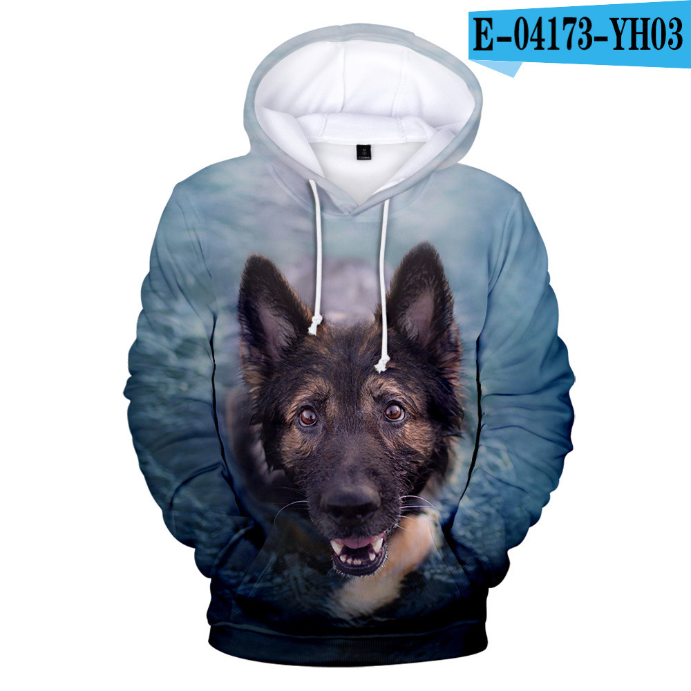 Sports and leisure hooded sweater