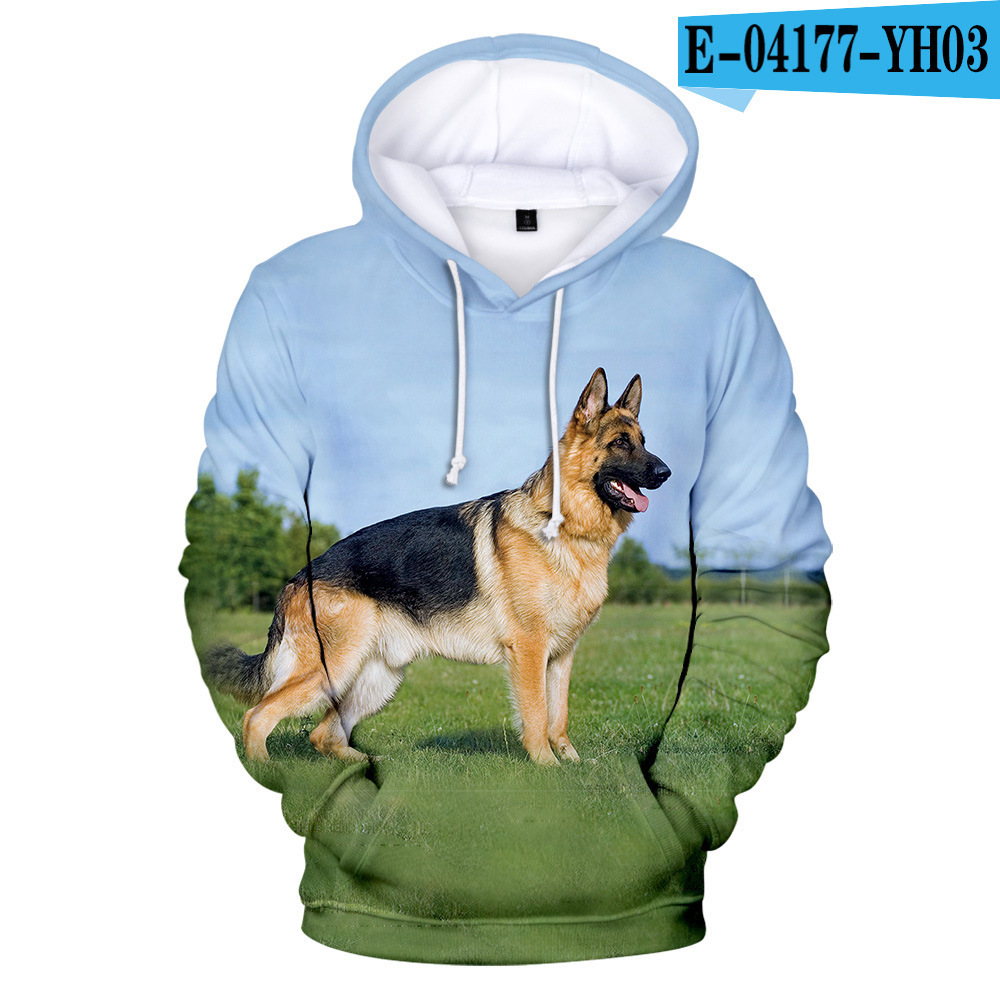 Sports and leisure hooded sweater
