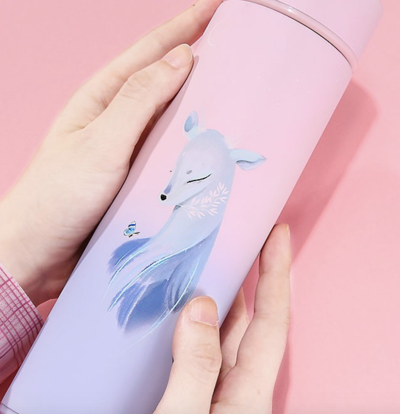 Insulated Thermos Variants