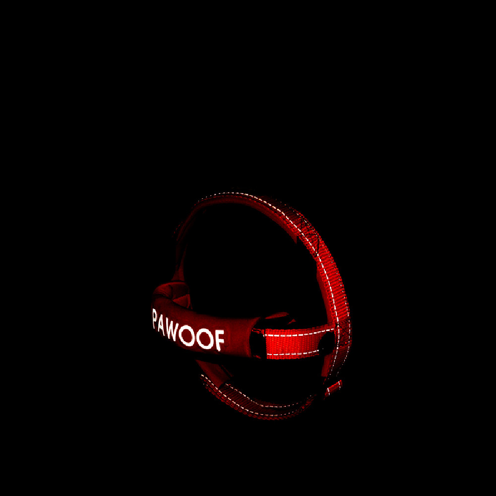 Dog Harness Image 1