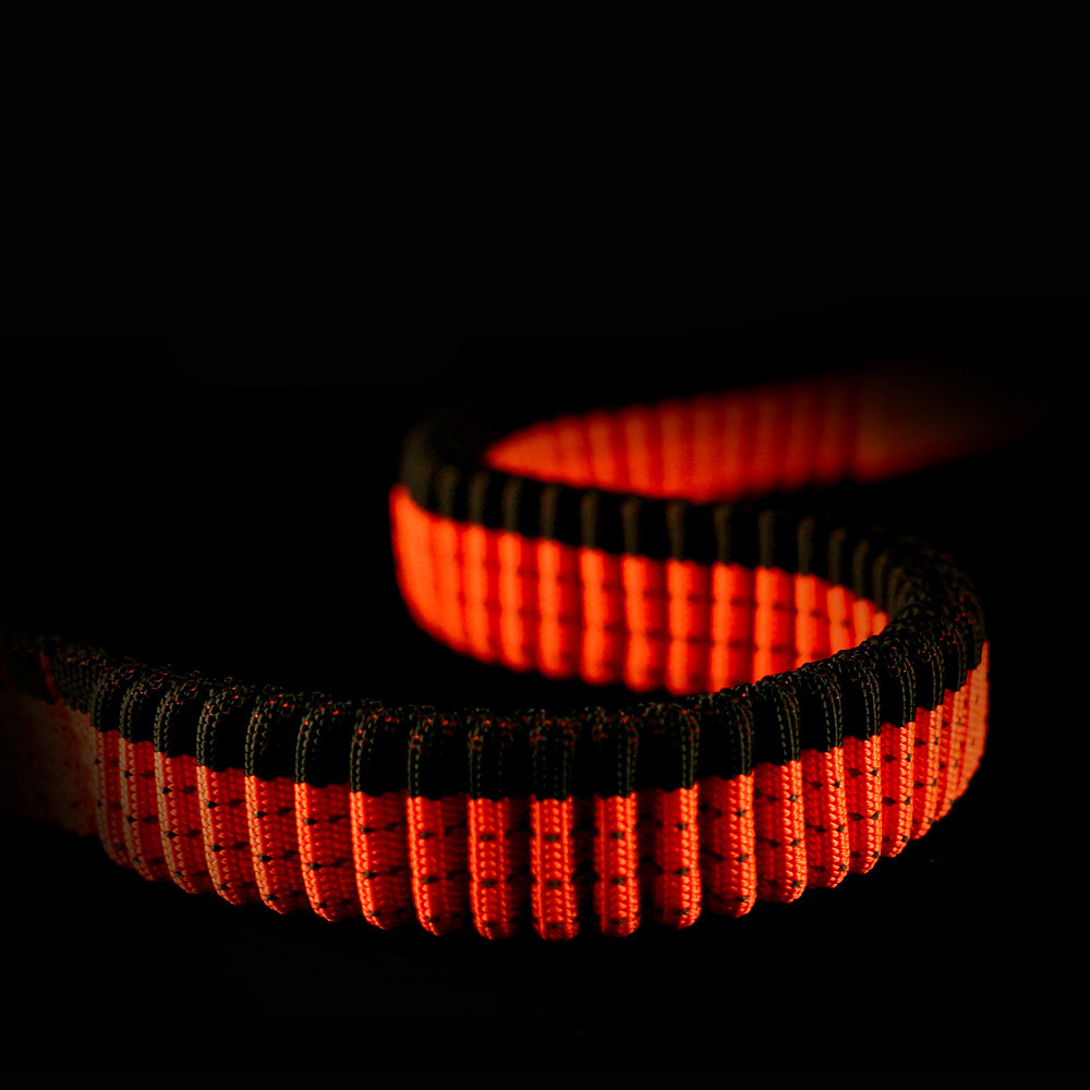 Dog Harness Image 2