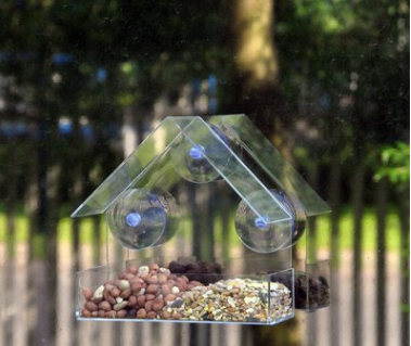 Custom Acrylic Feeder