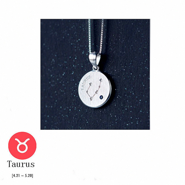 Zodiac Pendant Necklace Details