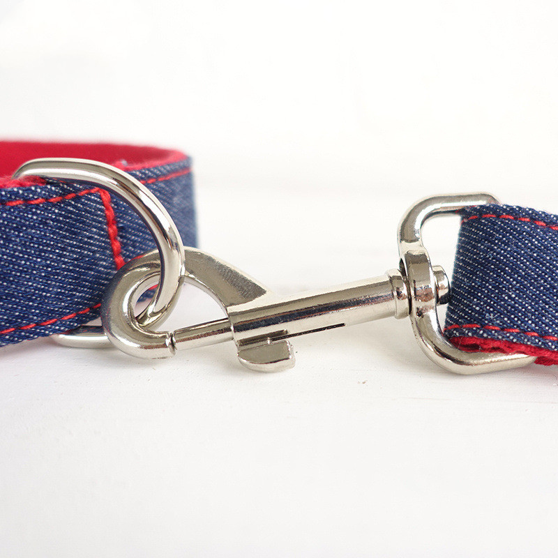 Dog Leash Detail