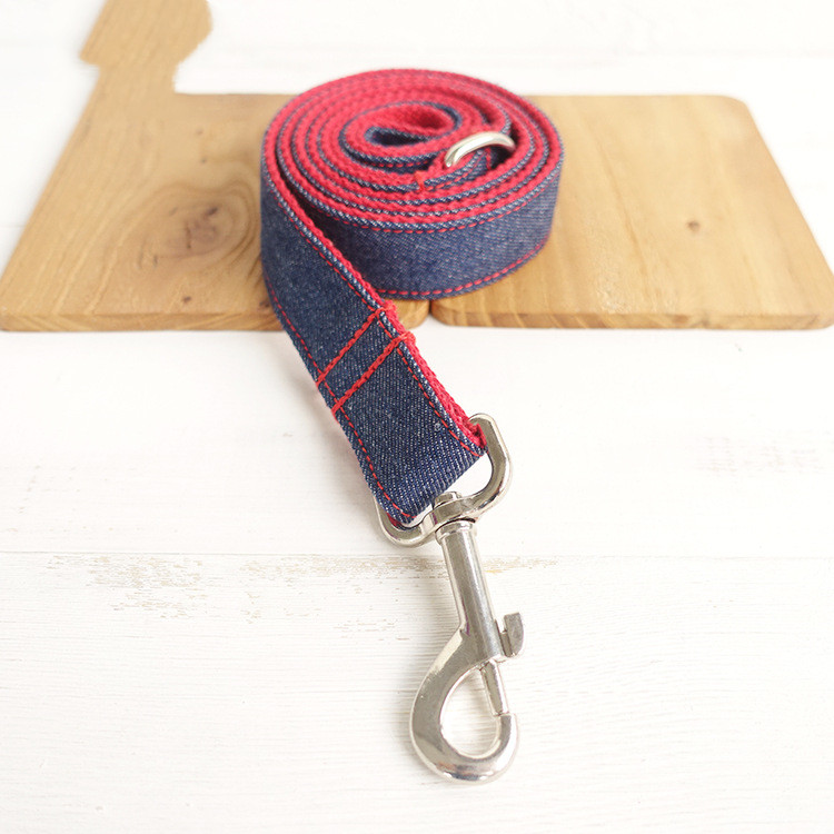 Dog Leash in Use