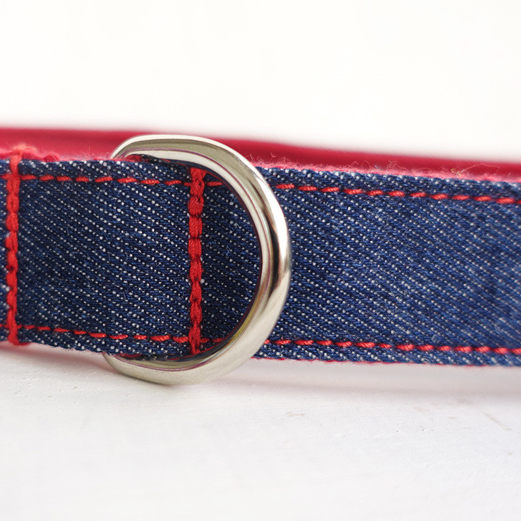 Dog Leash Features